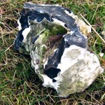 img_1518 img_1518