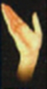 Right Hand